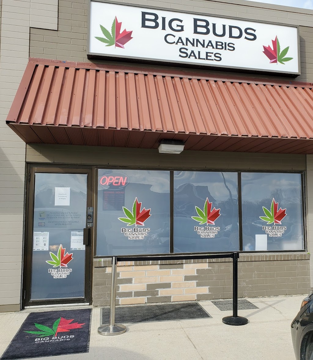 Big Buds Cannabis Sales | 3025 Ness Ave Unit J, Winnipeg, MB R2Y 2J2, Canada | Phone: (431) 441-2837