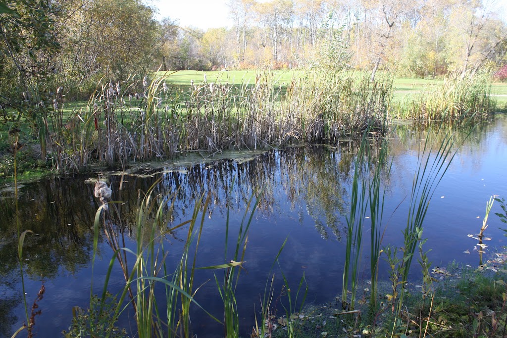 Delahunt Golf & Country Club | Box 149, Treherne, MB R0G 2V0, Canada | Phone: (204) 723-2502