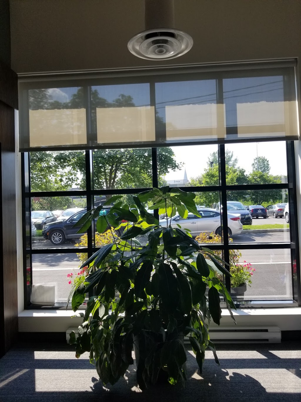 Silent Partner Software | 21 Rue Christie, Sainte-Anne-de-Bellevue, QC H9X 1X4, Canada | Phone: (877) 399-4645