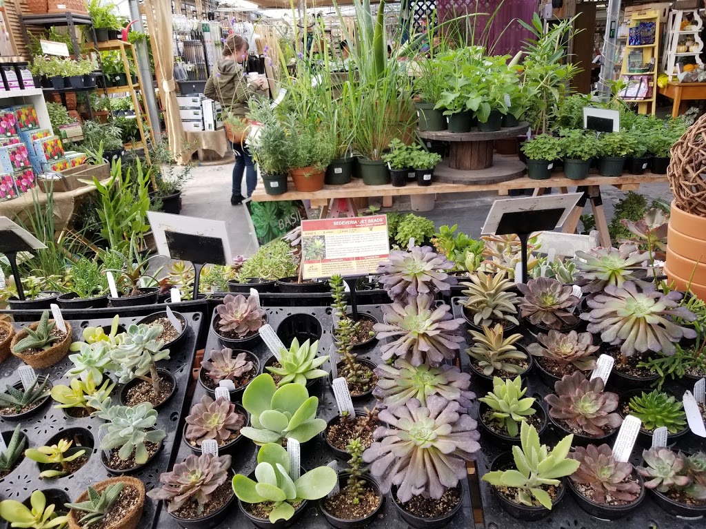 Sage Gardens Greenhouses | 3410 St Marys Rd, Winnipeg, MB R2N 4E2, Canada | Phone: (204) 257-2715