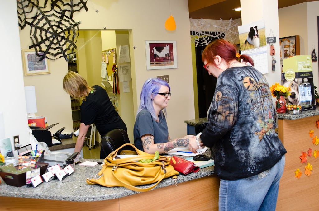 Tuxedo Animal Hospital | 192-2025, Corydon Ave, Winnipeg, MB R3P 0N5, Canada | Phone: (204) 488-1843