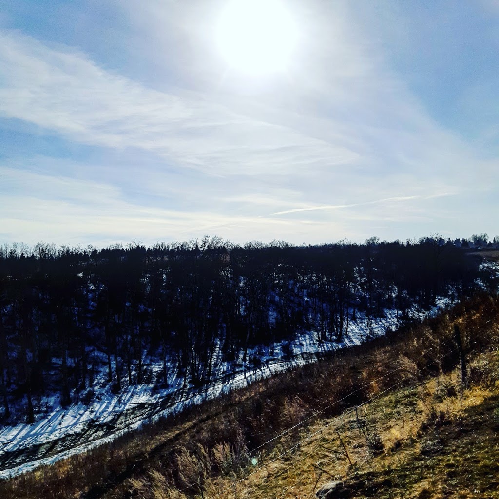 Work Of Art Projects | 10 Bluebird Dr, Didsbury, AB T0M 0W0, Canada