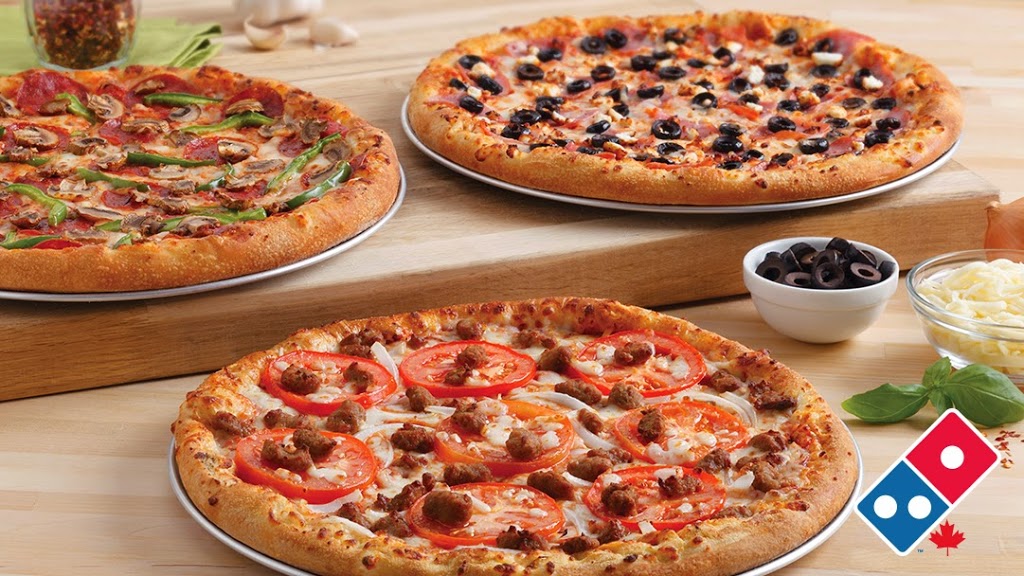 Dominos Pizza | 1241 Weber St E, Kitchener, ON N2A 1C2, Canada | Phone: (519) 893-7200