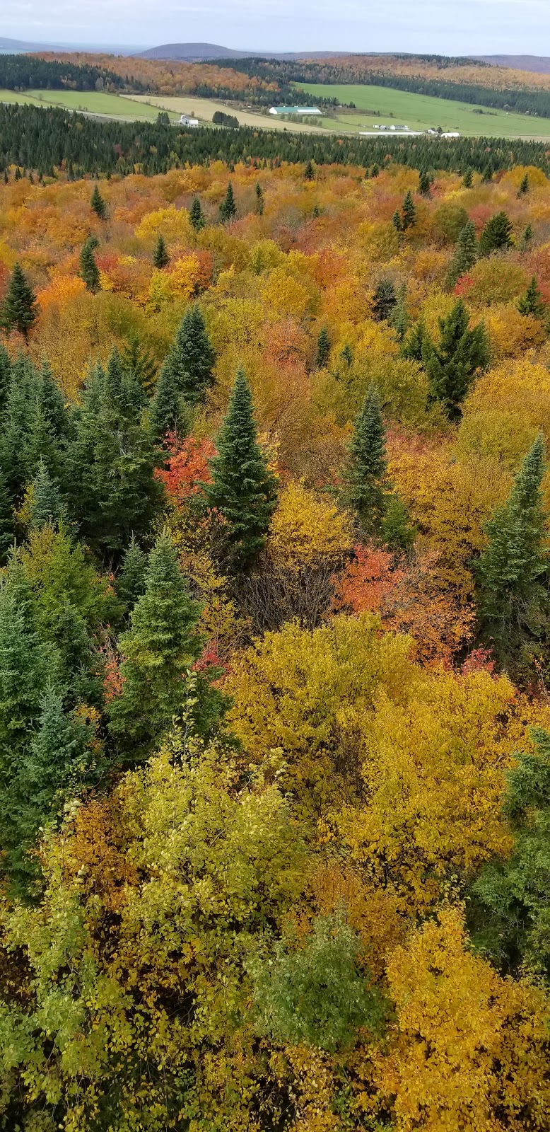 Tour dobservation de St-Fortunat | Route du Cap, Saint-Fortunat, QC G0P 1G0, Canada | Phone: (819) 344-5453