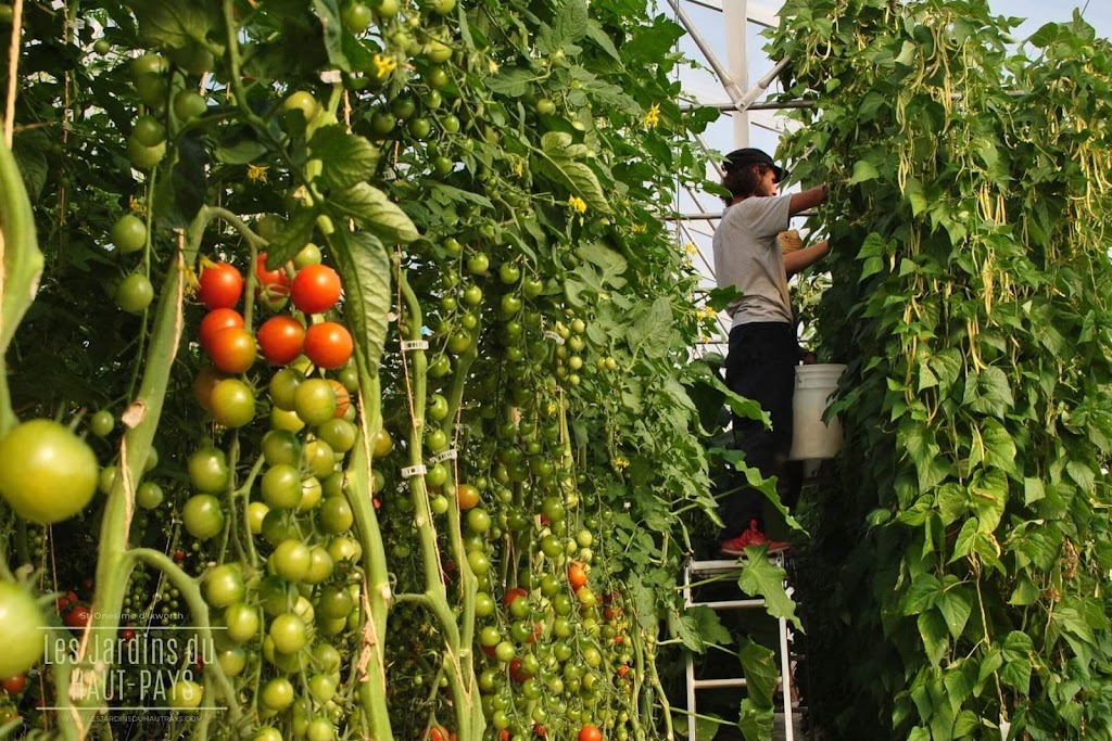 Les Jardins du Haut-Pays | 16 6e Rang, Kamouraska, QC G0R, Canada | Phone: (581) 989-1500