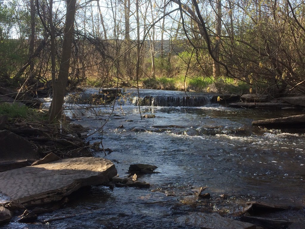 Shalebank Hollow Park | Erin Mills, Mississauga, ON L5L, Canada