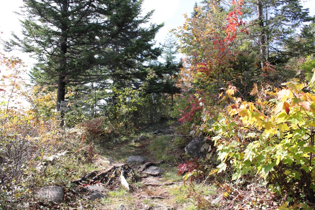 Ski Mont Adstock | 120 Rte du Mont Adstock, Adstock, QC G0N 1S0, Canada | Phone: (418) 422-2242
