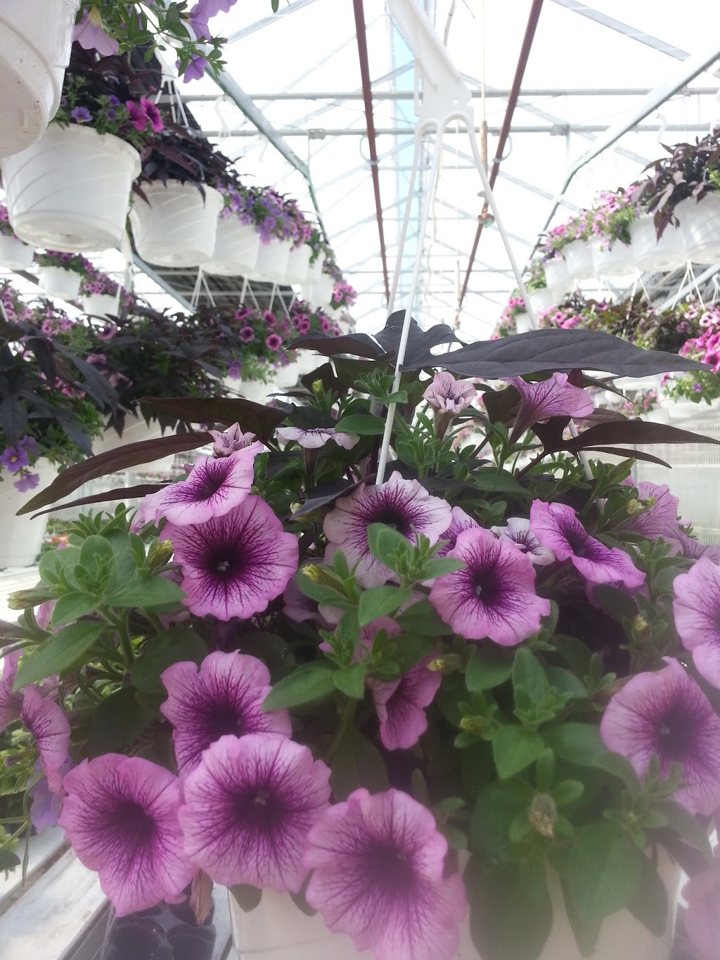 Meyers Fruit Farms | 1444 Irvine Rd, Niagara-on-the-Lake, ON L0S 1J0, Canada | Phone: (888) 439-6997