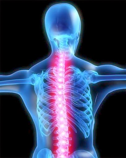 Pro Health Chiropractic | 1000 Hamptons Dr NW, Calgary, AB T3A 6A7, Canada | Phone: (403) 547-9011