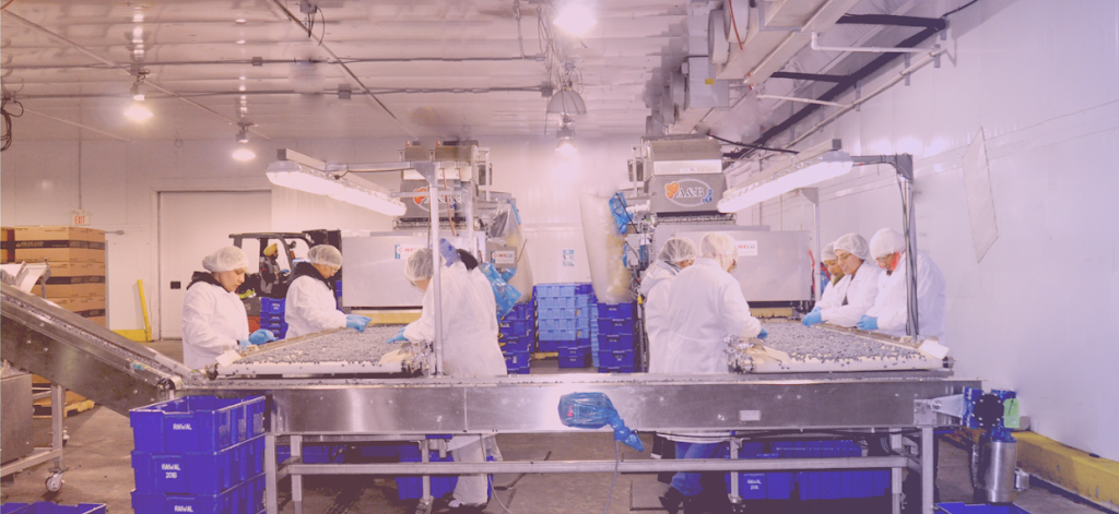 Raiwal Agro Tech Foods Ltd. | 4586 176 St, Surrey, BC V3Z 1C3, Canada | Phone: (604) 576-7508