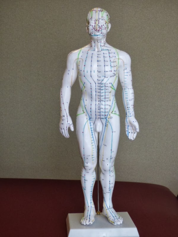 Kitchener Waterloo Acupuncture & Chinese Medicine Clinic | 619 Wild Ginger Ave C19, Waterloo, ON N2V 2X1, Canada | Phone: (519) 722-8377