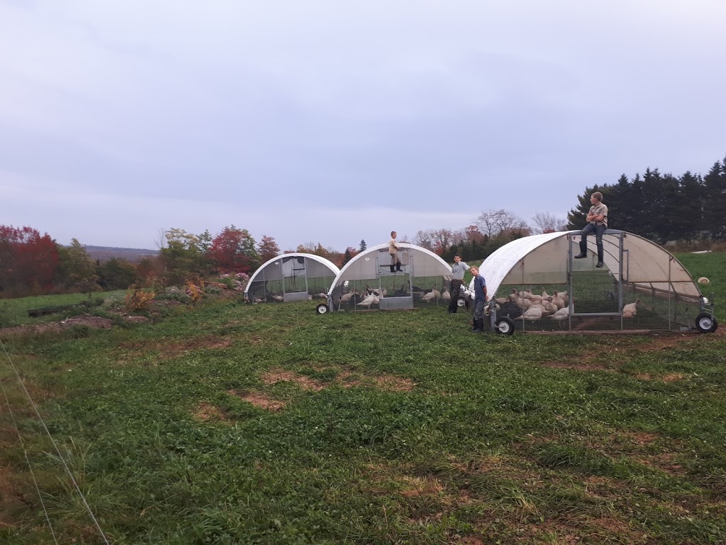 Bountywoods Farm | 4876 Brooklyn St, Somerset, NS B0P 1E0, Canada | Phone: (902) 538-4318
