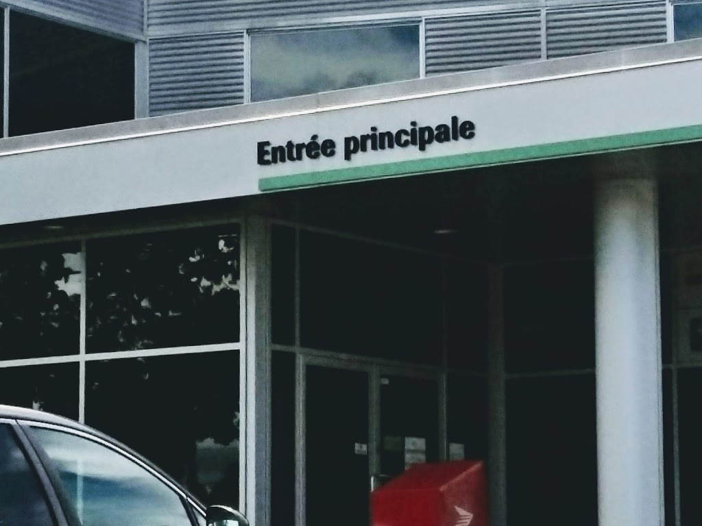 Dr. Louise Cardin | 233 Rue Turgeon, Sainte-Thérèse, QC J7E 4S9, Canada | Phone: (450) 435-7445