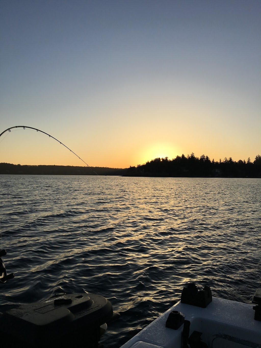 Charmer Point Charters | 740 Handy Rd, Mill Bay, BC V0R 2P1, Canada | Phone: (250) 514-6986