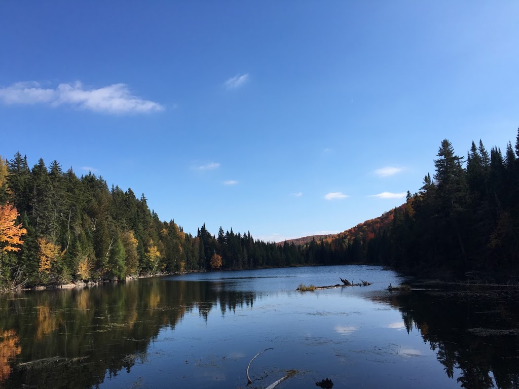 Les Berges du rocher | 2043-2399 Chemin du Lac-des-Trois-Frères, Saint-Adolphe-dHoward, QC J0T 2B0, Canada | Phone: (514) 926-4197