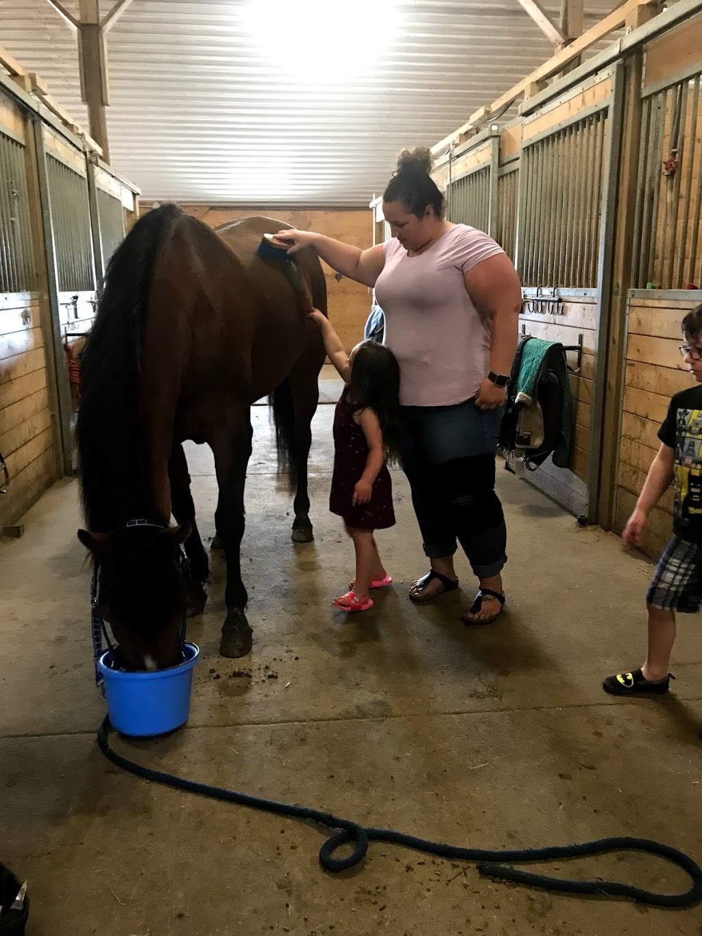 Greenfield Stables | 1864 Greenfield Rd, Cambridge, ON N1R 5S5, Canada | Phone: (519) 716-9600