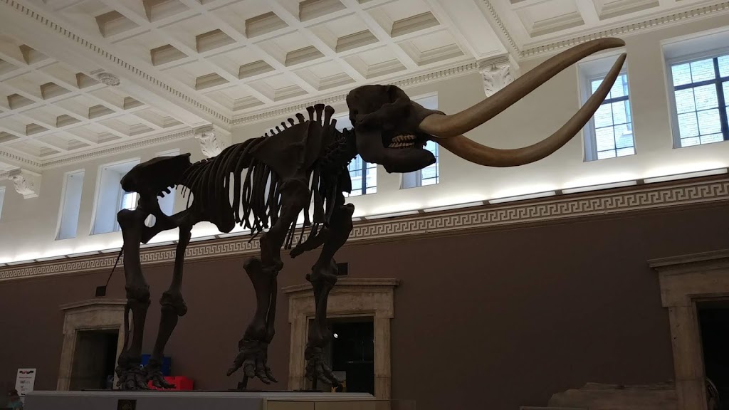 Buffalo Museum of Science | 1020 Humboldt Pkwy, Buffalo, NY 14211, USA | Phone: (716) 896-5200