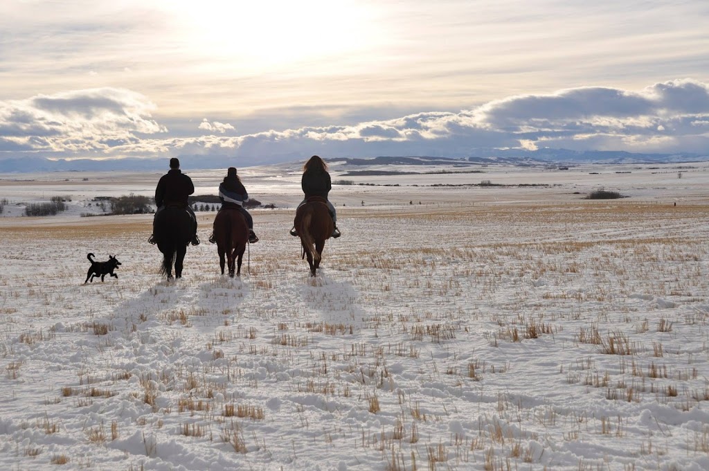 Rocky Hills Ranch | 434011 32st West 434 Ave and 32st West RR1 Site 7 Box 58, Okotoks, AB T1S 1A1, Canada | Phone: (403) 863-2484