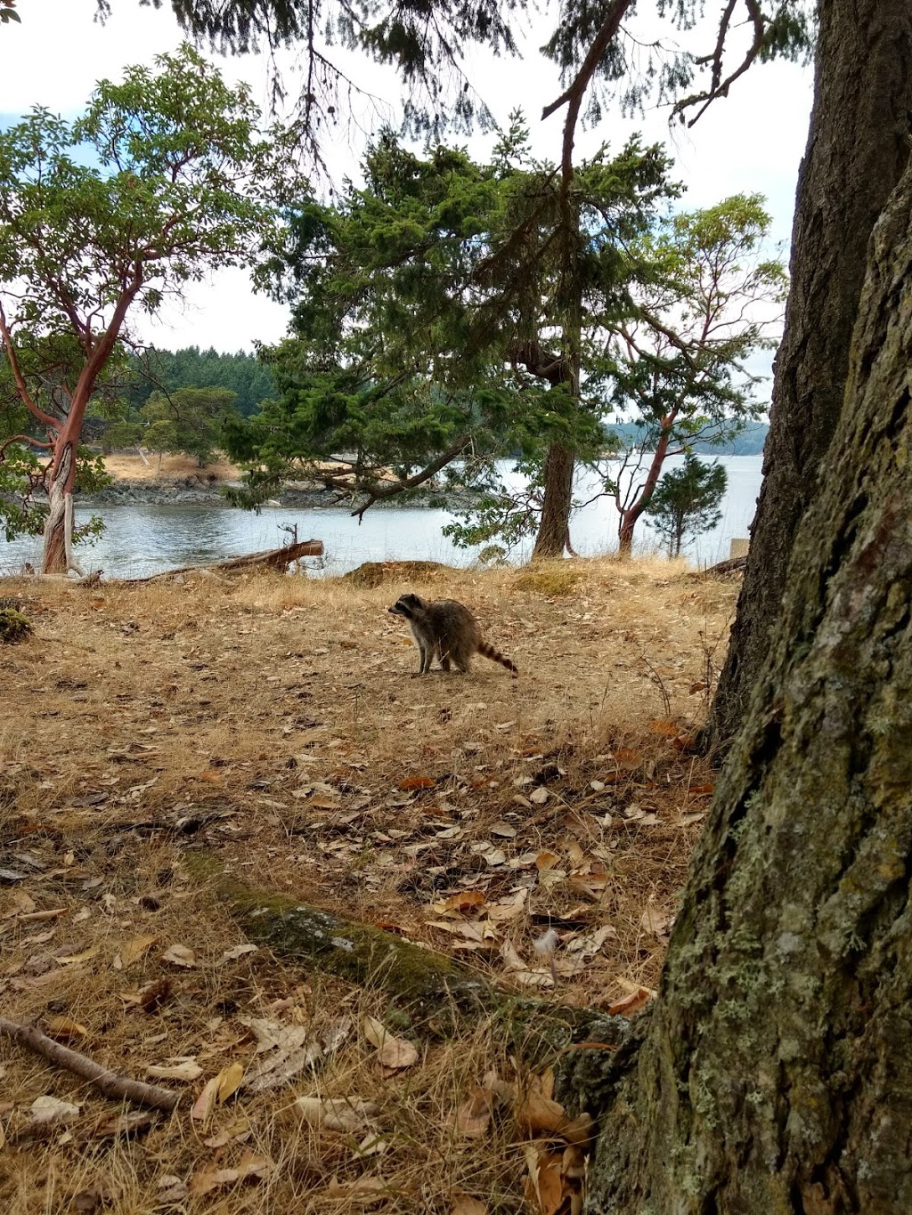 San Juan Islands National Wildlife Refuge | Eastsound, WA 98245, USA