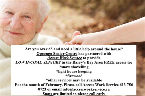 Access Work Service | 19 Stafford St, Barrys Bay, ON K0J 1B0, Canada | Phone: (613) 756-0723