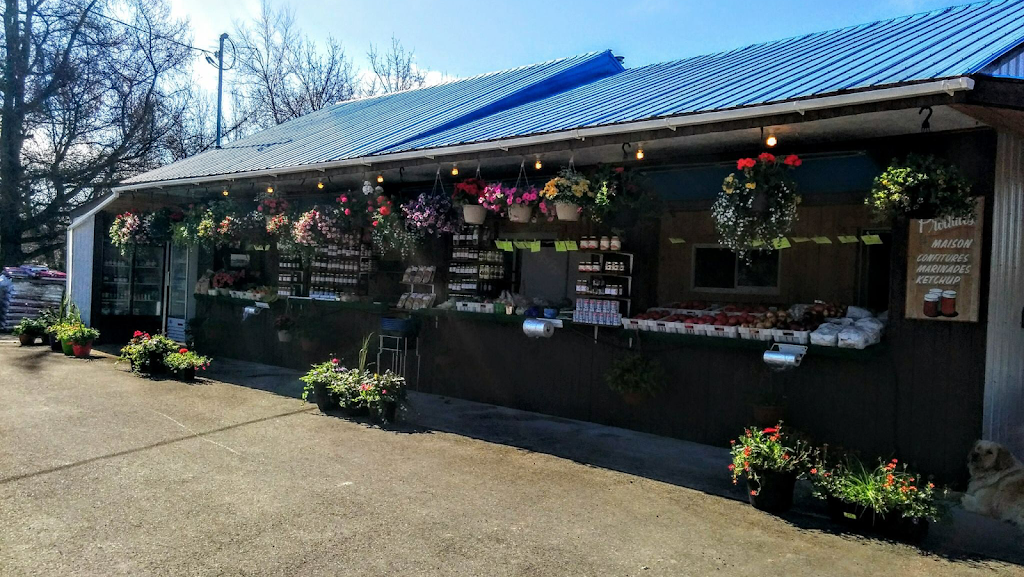Ferme Levasseur Desmarais | 291 Chemin Montcalm, Sainte-Marie-Salomé, QC J0K 2Z0, Canada | Phone: (450) 839-3083