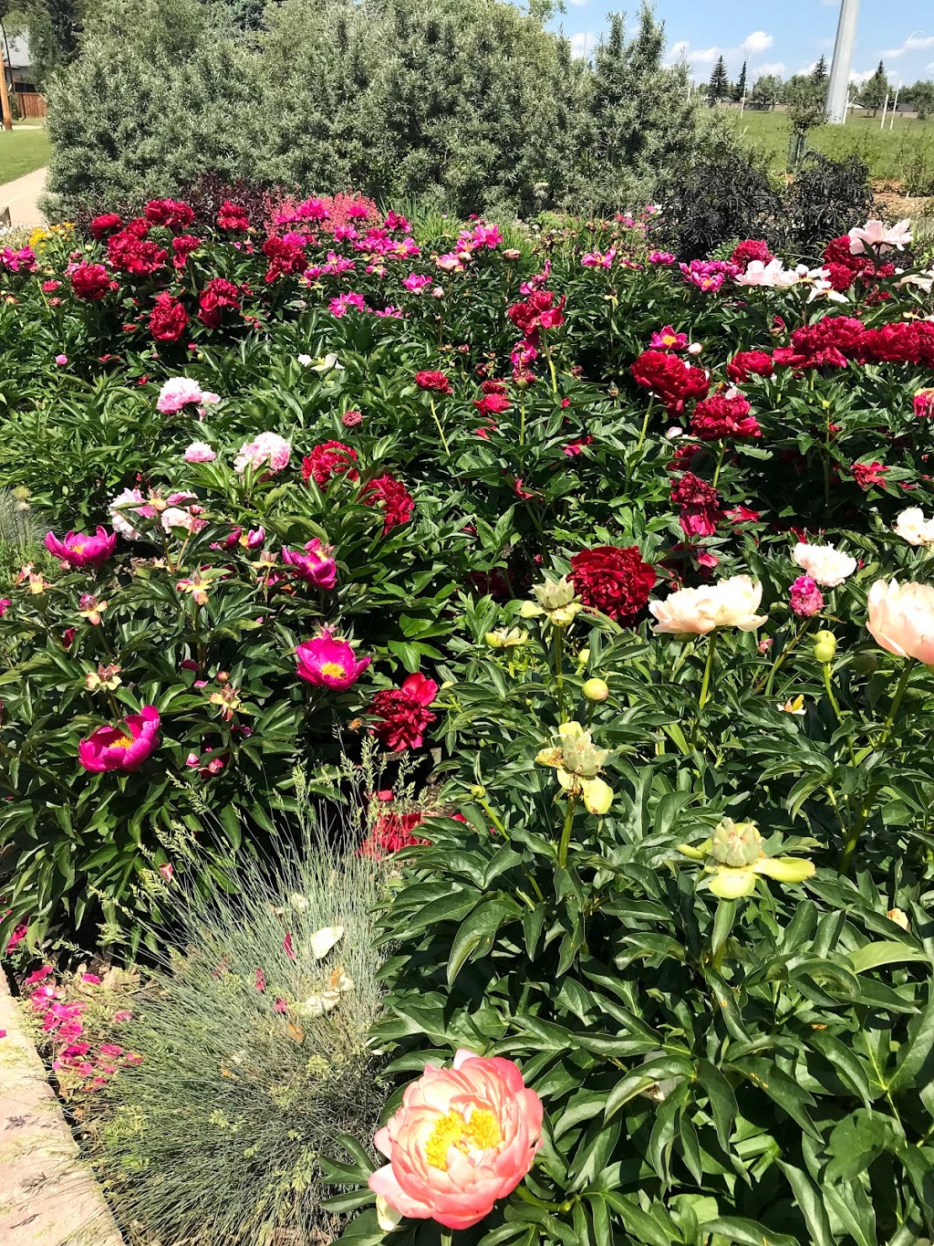 Botanical Gardens of Silver Springs | 37 Silver Springs Dr NW, Calgary, AB T3B 4N3, Canada