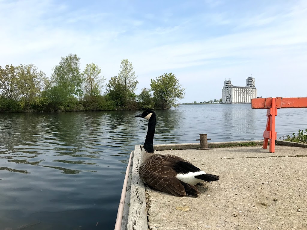Collingwood Arboretum | 3E5,, 6 Hickory St, Collingwood, ON L9Y 3E5, Canada | Phone: (705) 444-2500 ext. 3264