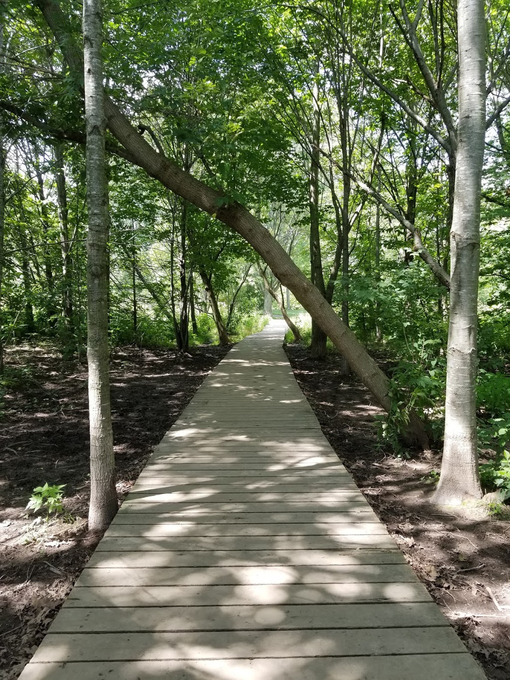 David Bartlett Park | 5201 McLean Crescent, Manotick, ON K4M 1G2, Canada