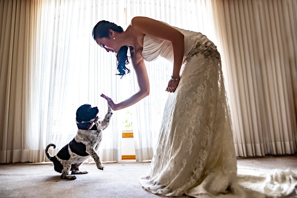 Singh Photography | 136 Wayfield Dr, Winnipeg, MB R3T 6C9, Canada | Phone: (204) 297-6522