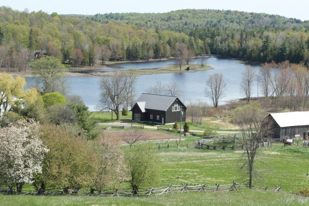 Back Forty Artisan Cheese | 1406 Gulley Rd, Mississippi Station, ON K0H 2C0, Canada | Phone: (613) 287-7011