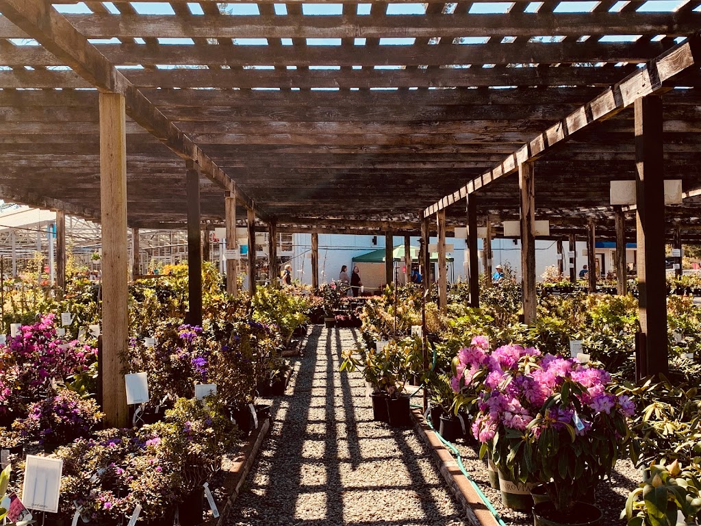 B Dinter Nursery Ltd | 2205 Phipps Rd, Duncan, BC V9L 6L2, Canada | Phone: (250) 748-2023