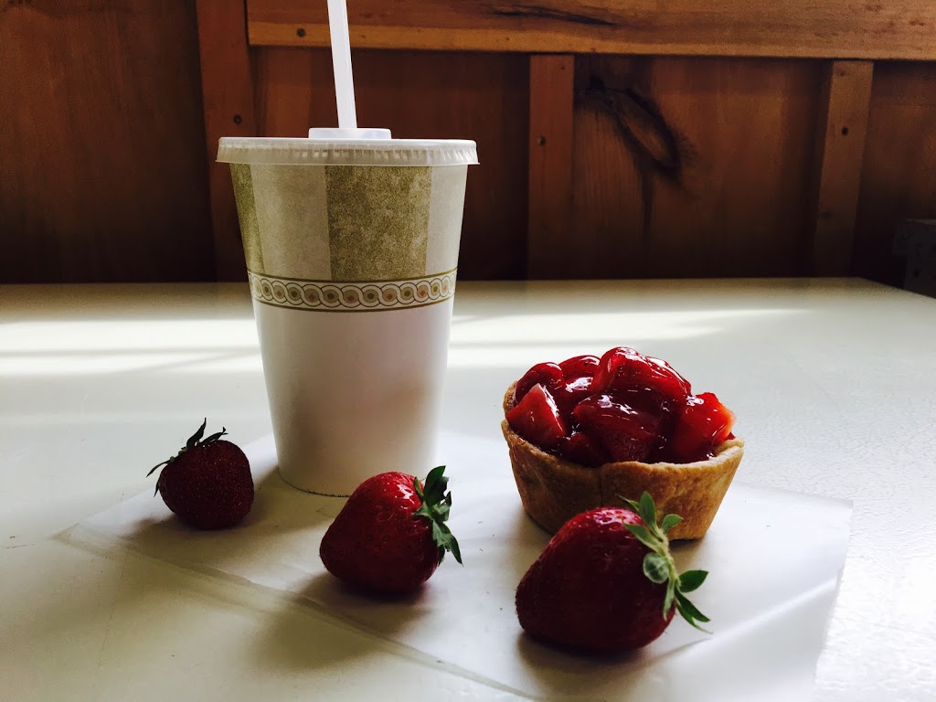 Morrison Berries | 37777 Amberley Rd, Lucknow, ON N0G 2H0, Canada | Phone: (519) 528-2900