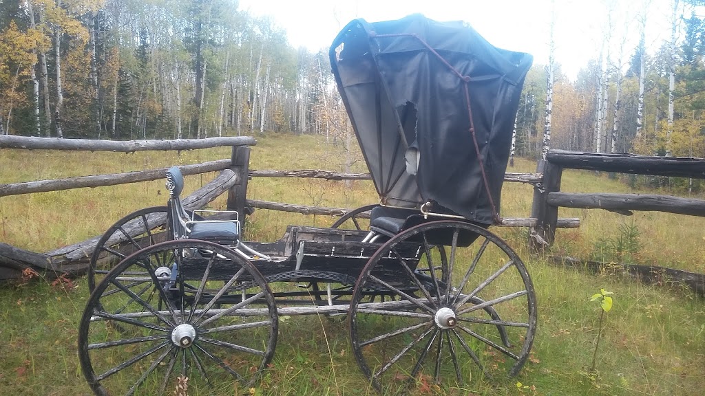 Homeplace Ranch | Foothills No. 31, AB T0L 1W0, Canada | Phone: (403) 969-4444
