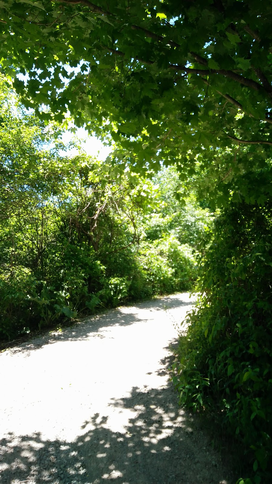 Pinery Park | 1439 Pinery Crescent, Oakville, ON L6H 7J6, Canada | Phone: (905) 815-5989