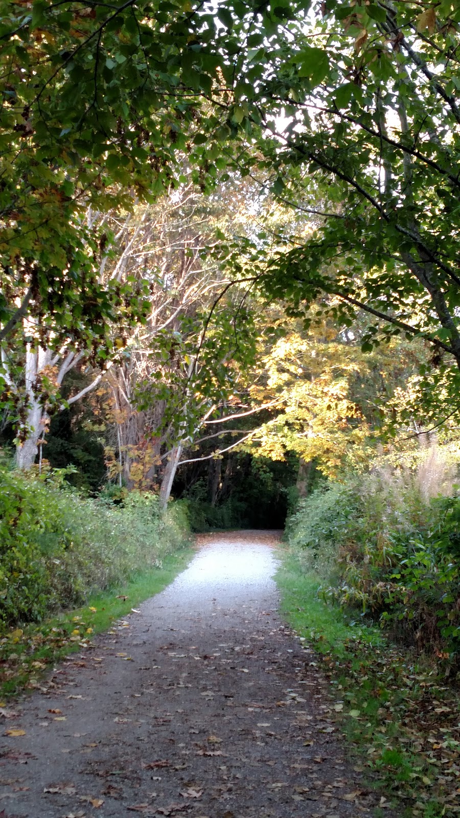 Little Squalicum Park | 640 Marine Dr, Bellingham, WA 98225, USA | Phone: (360) 778-8000
