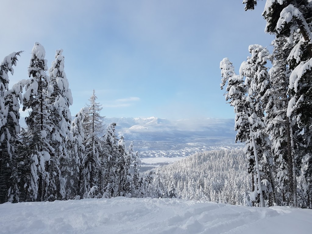 Mountainside Golf Course | 5083 Hot Springs Rd, Fairmont Hot Springs, BC V0B 1L1, Canada | Phone: (250) 345-6514
