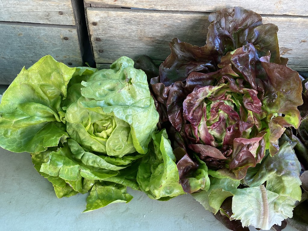 Fosterholm Farmers Market | 2102 County Road 18, Prince Edward, ON K0K 2T0, Canada | Phone: (613) 393-2085