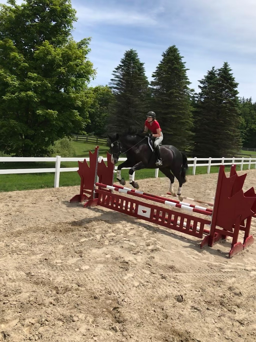 SWEETGRASS EQUESTRIAN | 13510 Fifth Line Nassagaweya, Rockwood, ON N0B 2K0, Canada | Phone: (289) 971-8778