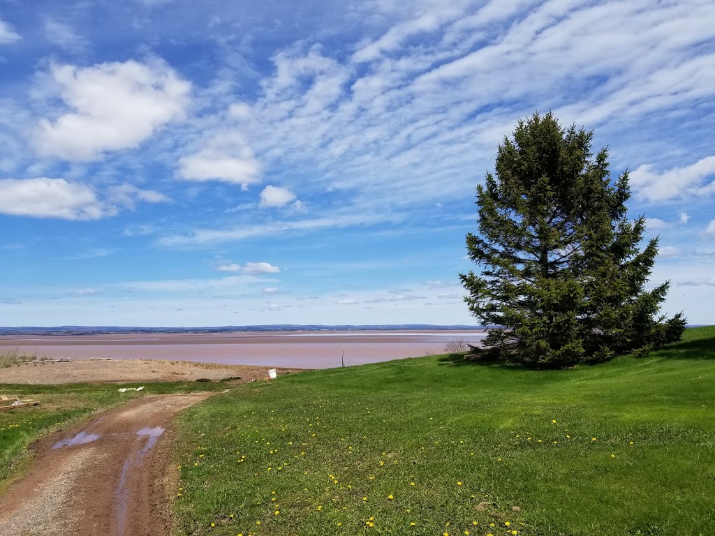 Shubenacadie River Runners | 8681 NS-215, Maitland, NS B0N 1T0, Canada | Phone: (902) 261-2770