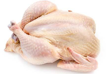 Back to Basics Raw Pet Food | 8203 31 St SE #103, Calgary, AB T2C 1H9, Canada | Phone: (403) 771-7950