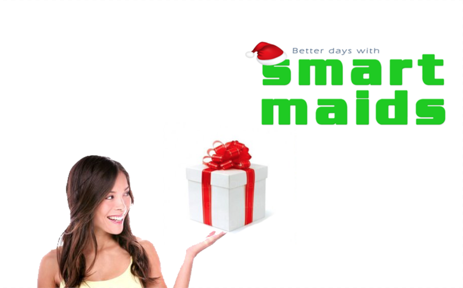 Smart Maids™ | 5603 Chemin St François, Saint-Laurent, QC H4S 1W6, Canada | Phone: (514) 612-2280
