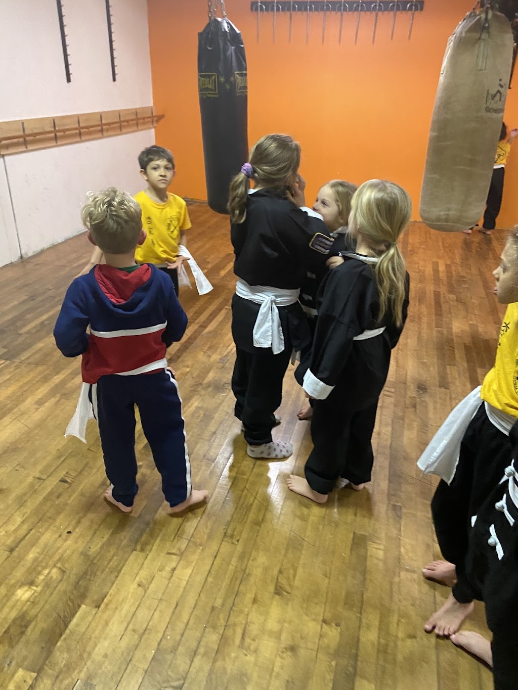 Tiger Mantis Kung Fu | 1791 Erbs Rd, St. Agatha, ON N0B 2L0, Canada | Phone: (226) 338-3577