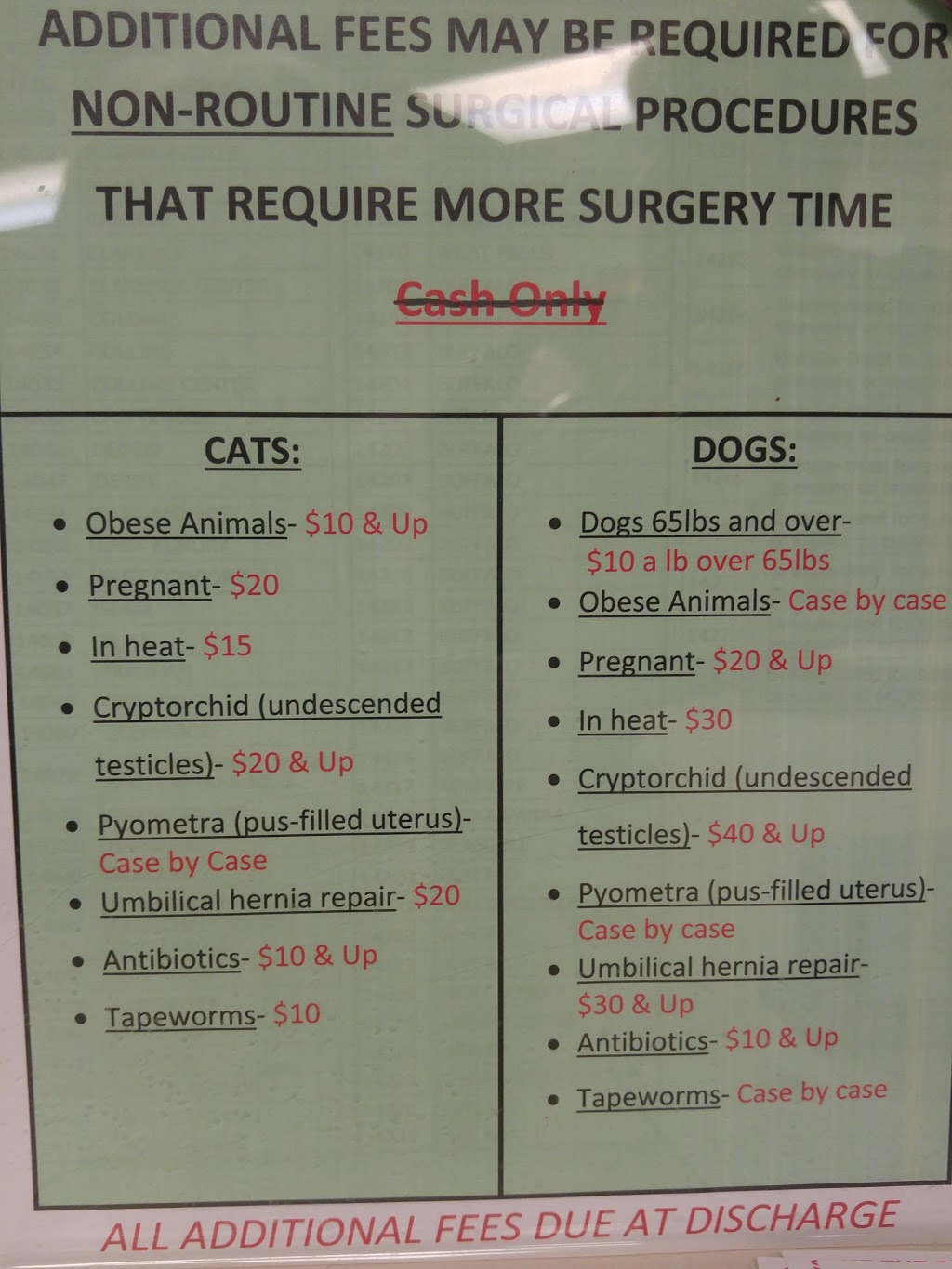 Operation Pets Spay/Neuter | 3443 South Park Ave, Buffalo, NY 14219, USA | Phone: (716) 783-8998