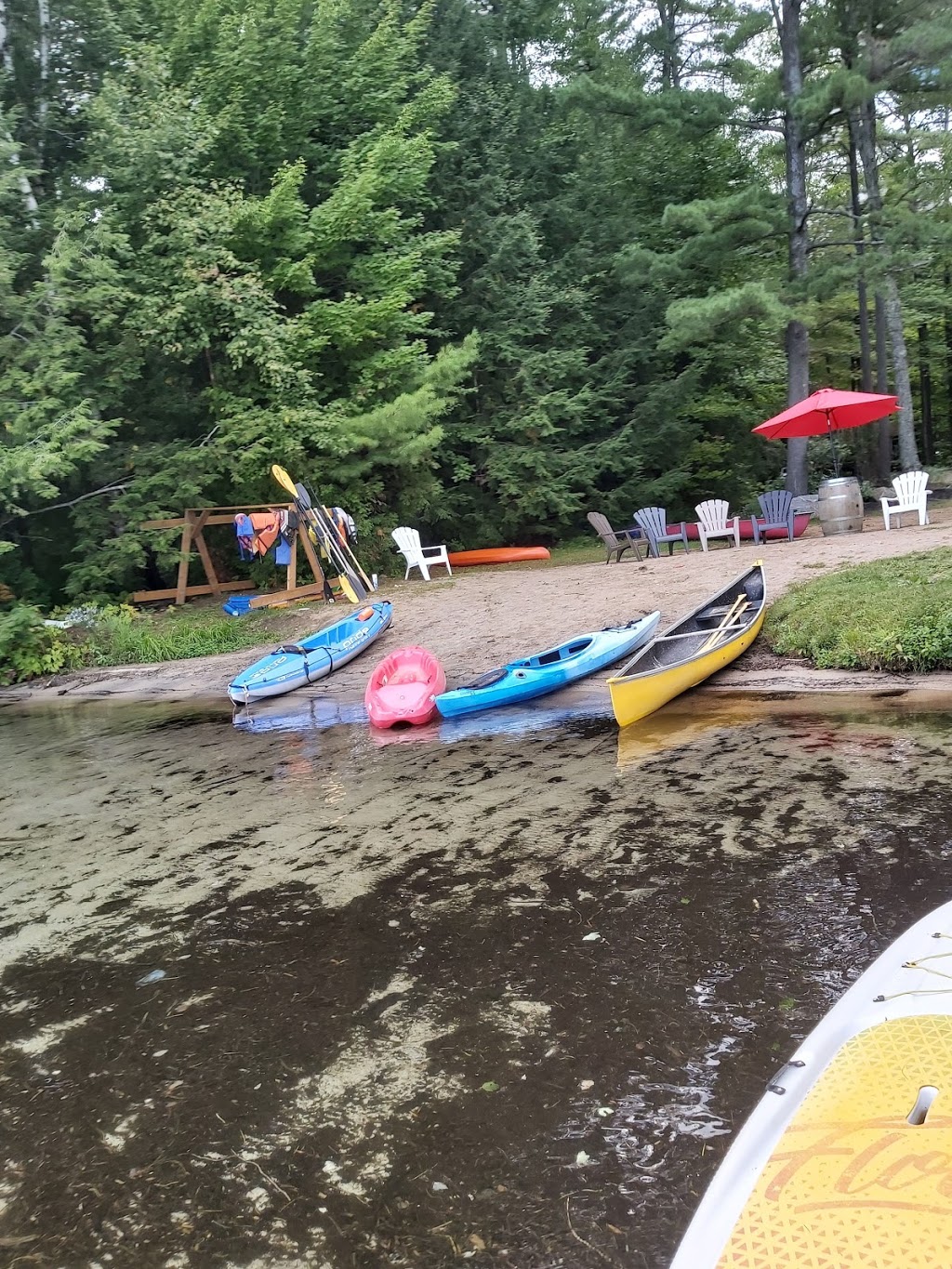 Muskoka Beer Spa | 1006 Clear Lake Rd, Torrance, ON P0C 1M0, Canada | Phone: (705) 571-1814