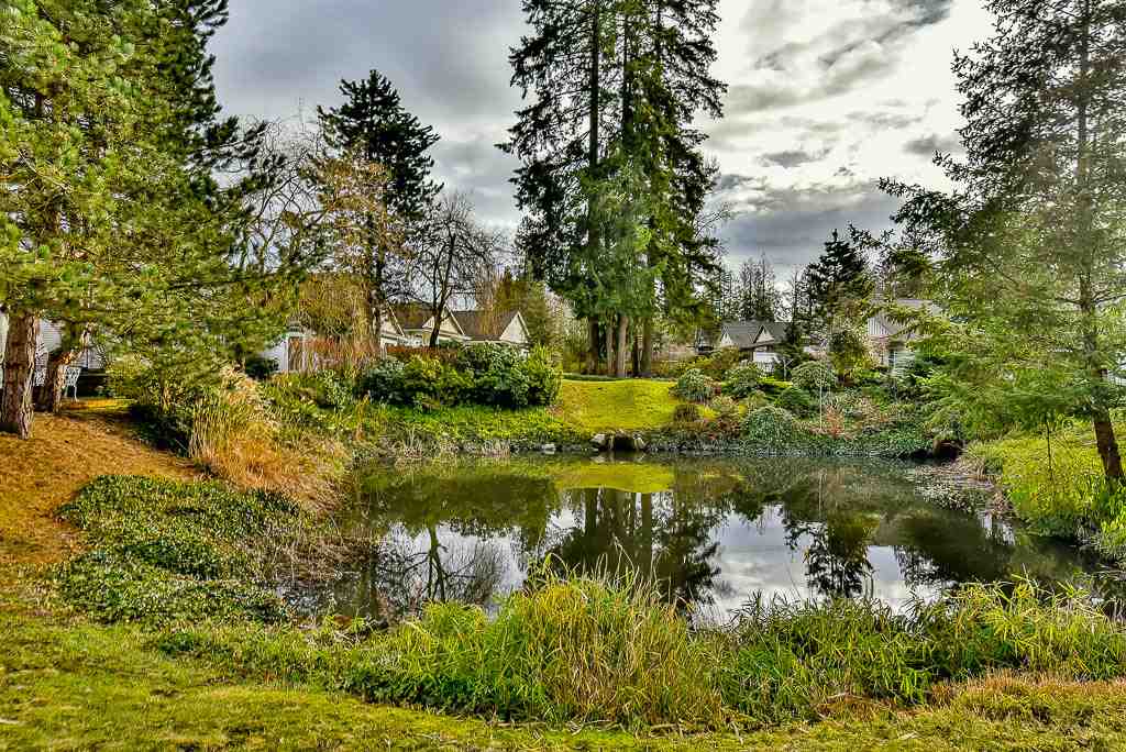Michael Ireland Personal Real Estate Corporation | 14776 Thrift Ave, White Rock, BC V4B 2J5, Canada | Phone: (604) 688-8884