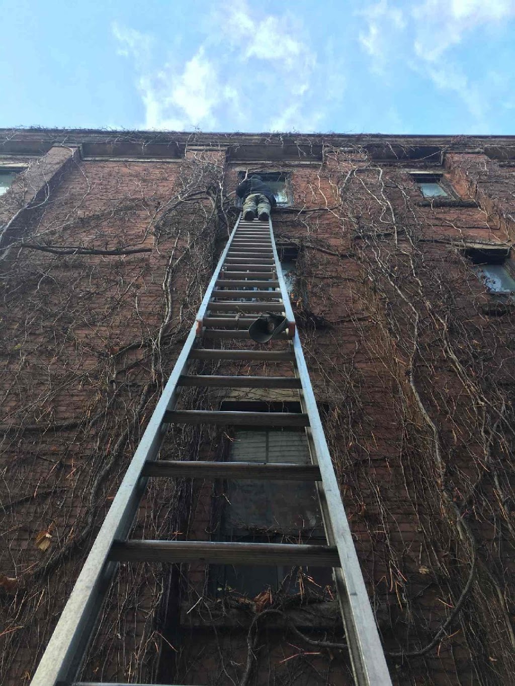 Done Right Pest and Wildlife Control | 1830 Main St W # 201, Hamilton, ON L8S 1H5, Canada | Phone: (905) 981-3663