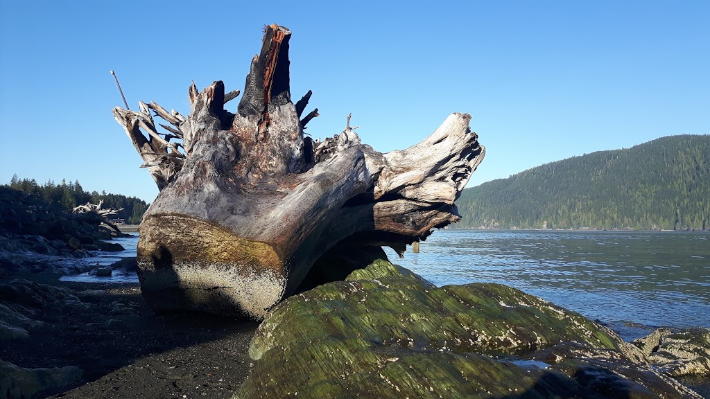 The Whale’s Tale Vacation Rental | 6656 Queesto Dr, Port Renfrew, BC V0S, Canada | Phone: (778) 746-1908