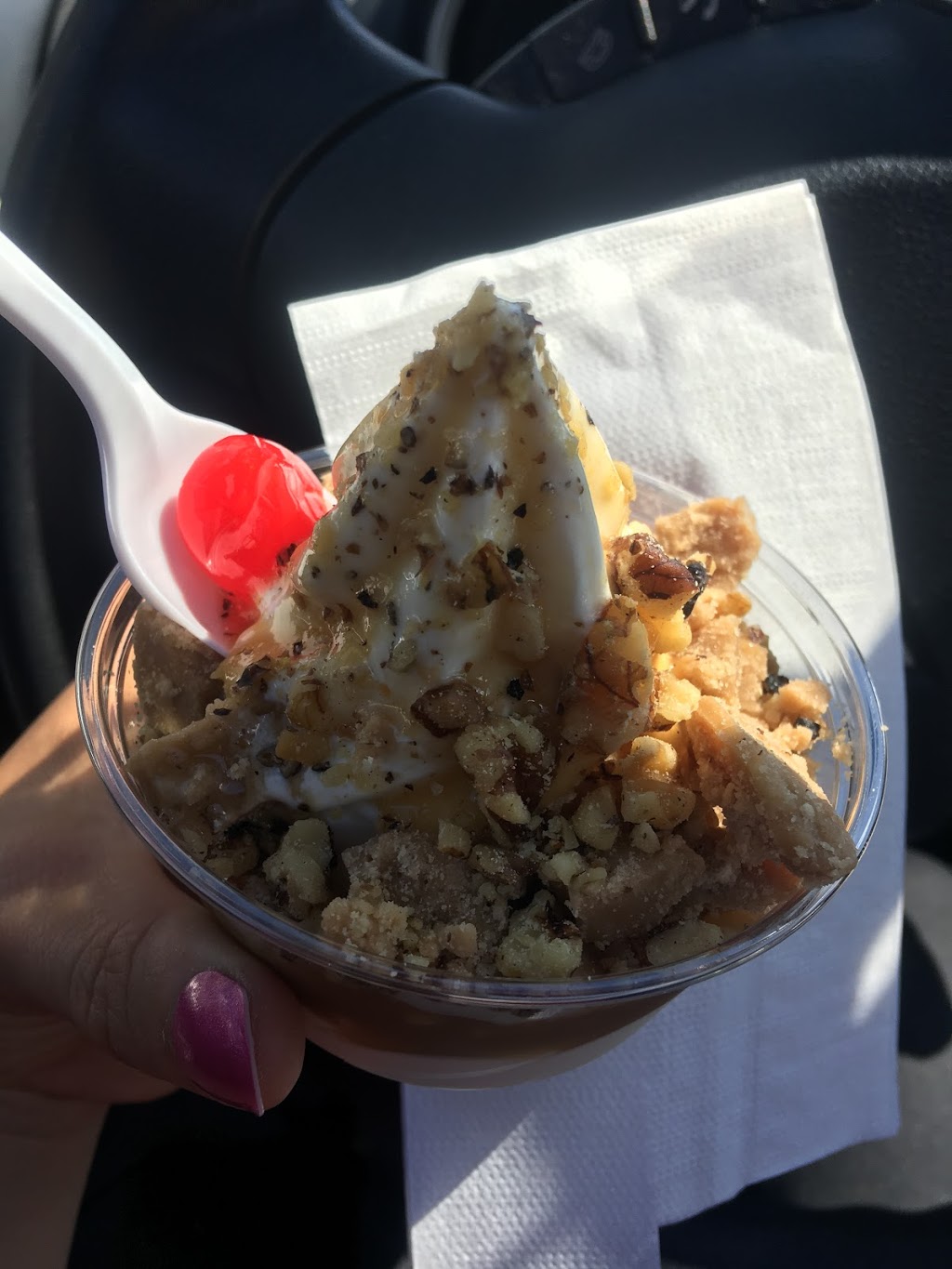 Bar Laitier Bizz Glace | 251 Rue Principale, Lambton, QC G0M 1H0, Canada | Phone: (418) 486-7281
