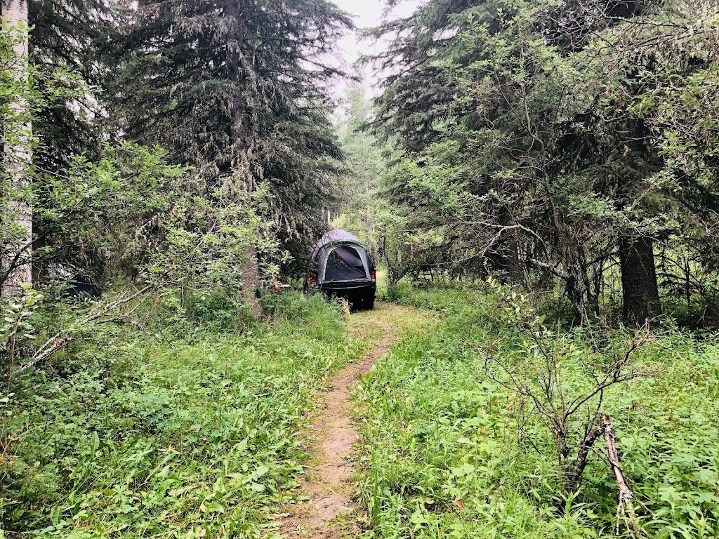 Prairie Creek Provincial Recreation Area | Clearwater County, AB T0M 2H0, Canada | Phone: (403) 845-8349