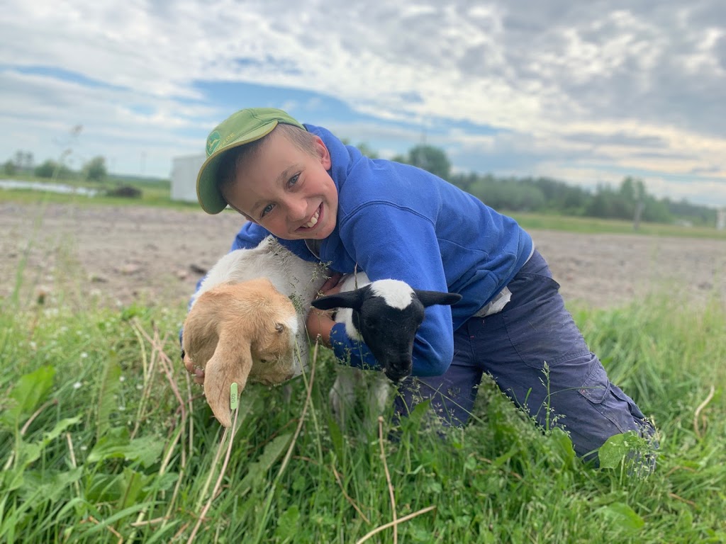 Dalew Farms | 10781 ON-64, Lavigne, ON P0H 1R0, Canada | Phone: (705) 594-1823